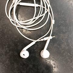 Oortjes がiLostで Rotterdam The Hague Airport によって報告されました