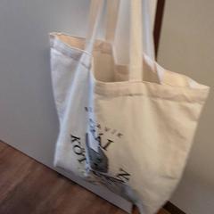 Bag, som rapportert av Qbuzz ZHN ved bruk av iLost