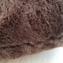 Knuffel, rapporterat av DierenPark Amersfoort med iLost