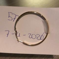 القرط Goud، كما تم الإبلاغ عنه بواسطة Van der Valk Hotel Haarlem عبر iLost