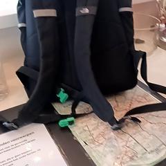 Bossa, segons ha informat RRReis IJssel-Vecht mitjançant iLost