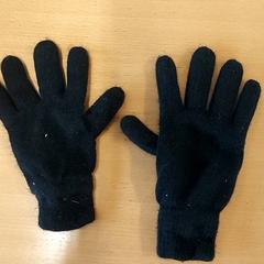 Handschoenen zwart, come riportato da Regio Limburg - Leuven utilizzando iLost