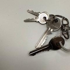 Key, as reported by ilévia using iLost