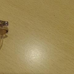 Ulleres, segons ha informat Walibi Holland mitjançant iLost