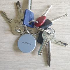 Sleutels, som rapportert av Gemeente Baarn ved bruk av iLost