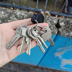 Sleutelbos an iLost gemeldet