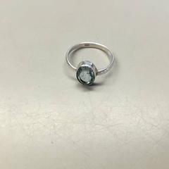 Ring zilver, blauw, zoals gemeld door Burgers' Zoo met iLost