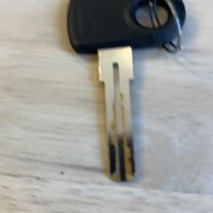 Sleutel, zoals gemeld door Gemeente Wageningen met iLost