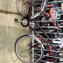 Bicicleta de mujer Giant, ha sido reportado por Stadswerk072 con iLost