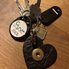 Sleutelbos، كما تم الإبلاغ عنه عبر iLost