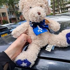 Witte teddybeer, as reported to iLost