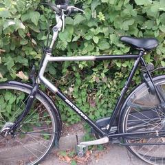 Herenfiets an iLost gemeldet