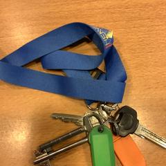 Sleutelhoes met sleutels, gemeldet von Gemeente Amsterdam über iLost