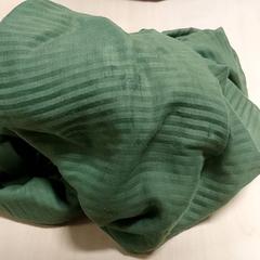 الملابس - Sjaal groen، كما تم الإبلاغ عنه بواسطة Regio Oost-Vlaanderen عبر iLost