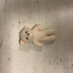 Kosete leke Beer, som rapportert av Artis ved bruk av iLost