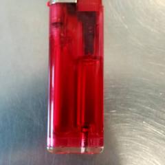 Briquet Rood, a été signalé par Burgers' Zoo utilisant iLost