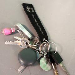 키체인, iLost를 사용하여 Diergaarde Blijdorp에 보고됨