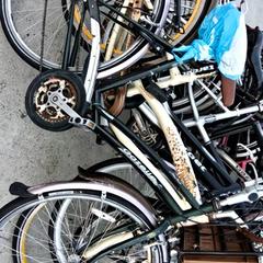 Dámské kolo Gazelle, jak nahlášeno Stadswerk072 pomocí iLost