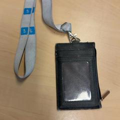 Titolare della carta, come riportato da RET utilizzando iLost