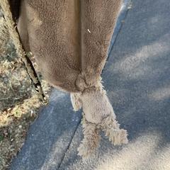 Knuffeldoek がiLostに報告されました