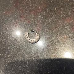 Arracada, segons ha informat Van der Valk Hotel Utrecht mitjançant iLost