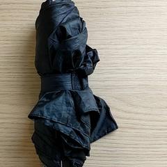 Parapluie, a été signalé par Centraal magazijn utilisant iLost