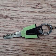 المفاتيح Groen/zwarte sleutel، كما تم الإبلاغ عنه بواسطة Gemeente Zeist عبر iLost