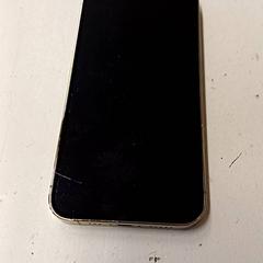 Mobile phone iPhone, as reported by GVB using iLost