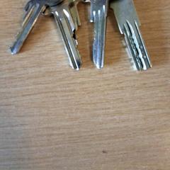 Gakoa, gisa salatu by Keukenhof iLost erabiliz