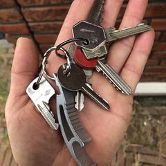 Sleutelbos, jak zgłoszono do iLost