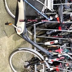 Bicicleta de mujer Batavus, ha sido reportado por Stadswerk072 con iLost
