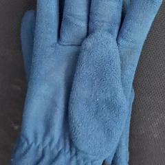 Guants, segons ha informat Arriva West-Brabant mitjançant iLost