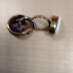 Ørering, som rapportert av LUMC ved bruk av iLost