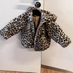 Jakke, som rapportert av Qbuzz ZHN ved bruk av iLost