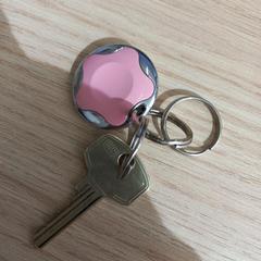 Key, as reported by Arriva West-Brabant using iLost
