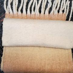 Scialle, come riportato da Connexxion Haarlem IJmond utilizzando iLost