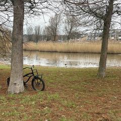 Kinderfiets, segons s'ha informat a iLost