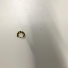 Earring, as reported by Gemeente Zandvoort using iLost