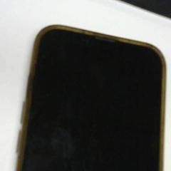 Iphone, as reported by Walibi Holland using iLost