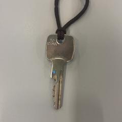 Klucz, zgłoszono przez Heidelberglaan 15 przy użyciu iLost