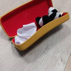 Estuche de anteojos Sophie van Maanen, ha sido reportado por RRReis Trein Amersfoort / Ede-Wageningen con iLost