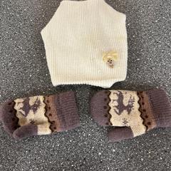 Muts en handschoenen, como reportado por Connexxion Amstelveen utilizando o iLost