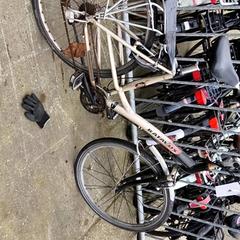 Pánsky bicykel Batavus, ako bolo nahlásené Stadswerk072 pomocou iLost