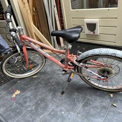Meisjes fiets roze, ako bolo nahlásené iLost