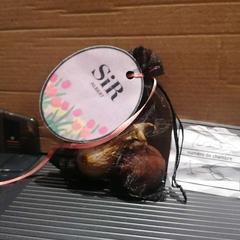 Tulips, rapporterat av The Dominican med iLost