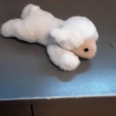 Knuffel, as reported by Diergaarde Blijdorp using iLost