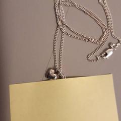 Nyaklánc Zilveren ketting met hangertje, amint azt Zuyderland MC Sittard-Geleen az iLost segítségével jelentette.