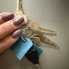 Sleutelbos, segons s'ha informat a iLost