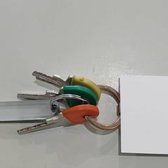 Sleutels がiLostで Centraal magazijn によって報告されました