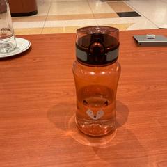 Bottle Vosje, as reported by Hotel Theater FIGI using iLost